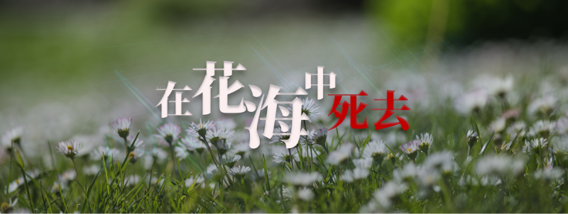 Featured image of post 在花海中死去